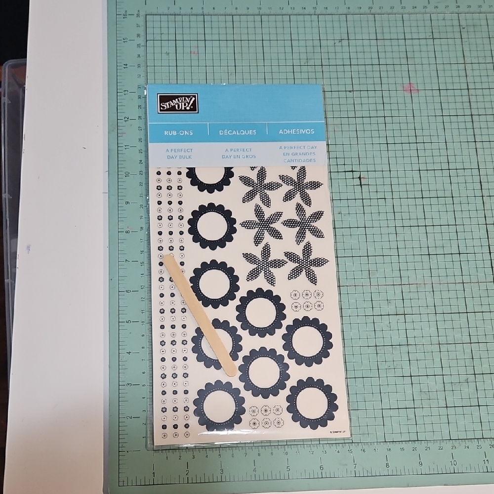 A Perfect Day Bulk Rub On Transfers Stampin Up